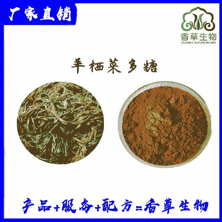 羊棲菜多糖30% 羊棲菜速溶粉 海藻多糖供應