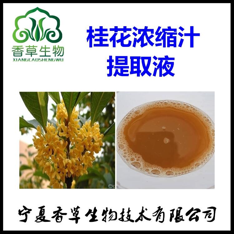 桂花濃縮汁 桂花提取液 桂花浸膏 桂花原漿 桂花提取物10:1