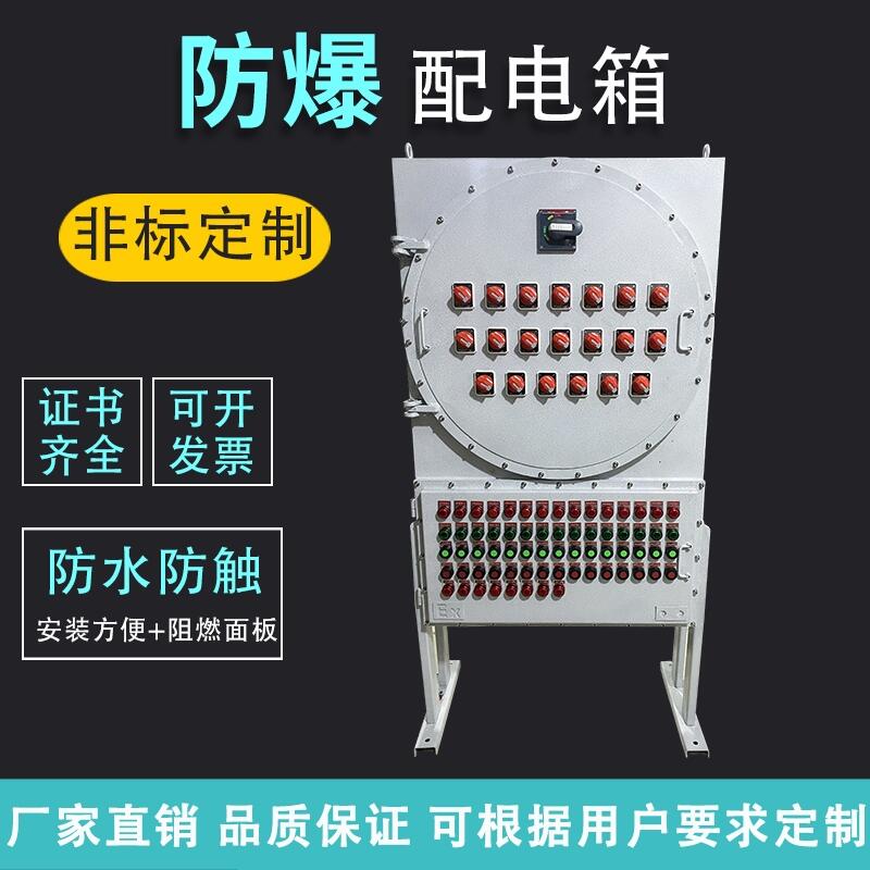 黎銘防爆配電箱操作控制箱儀表磁力啟動器操作柱接線箱