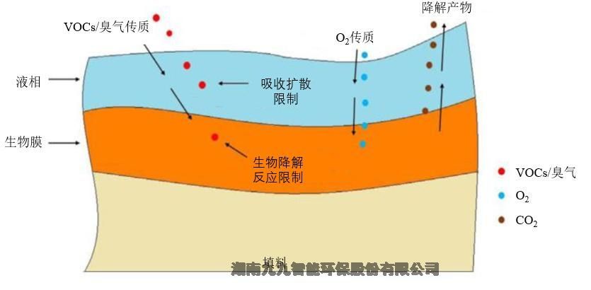 江西  工業(yè)污水廢氣的惡臭治理技術