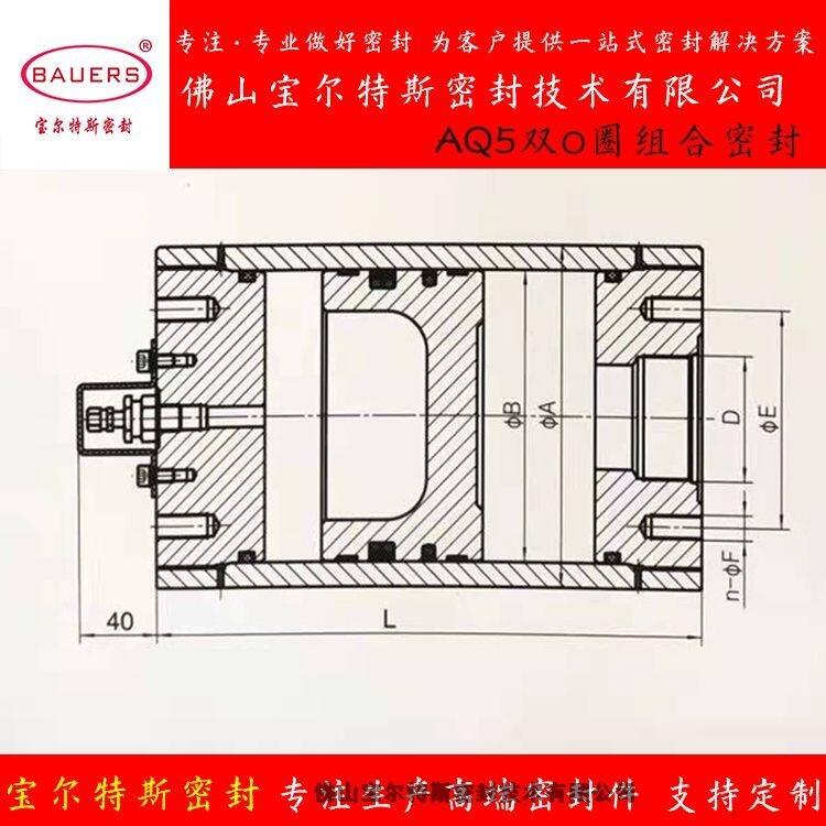 活塞式蓄能器密封圈油氣分離密封BAQ5油封