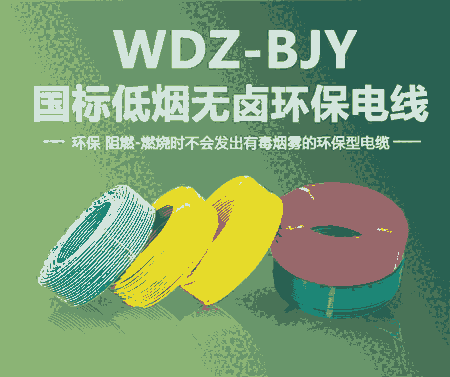 東佳信WDZ-BYJ10平方無鹵絕緣電線