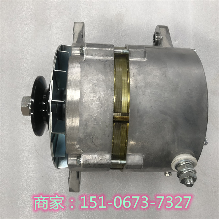 TR100C礦用機(jī)械發(fā)電機(jī)61000853 進(jìn)口40SI德科雷米件