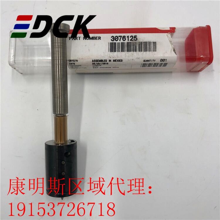 美國康明斯NTA855-G噴油器4914325-20