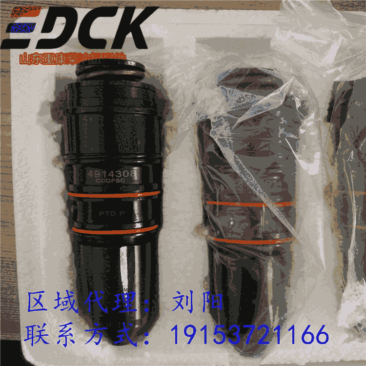 美國NT855-C280S10發(fā)動機4914308噴油器羅志祥