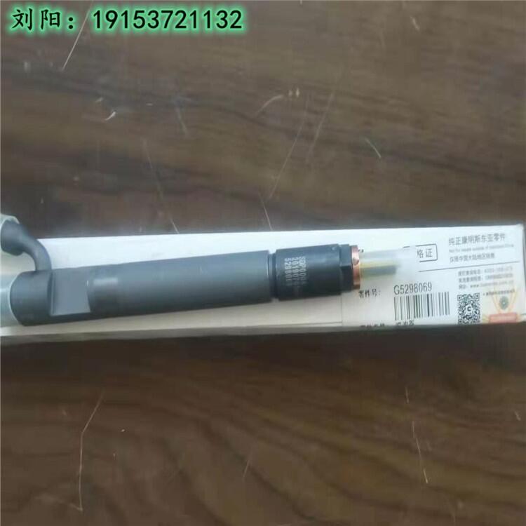 廣西康明斯6CT8.3噴油器5298069 發(fā)動機(jī)燃油噴油器