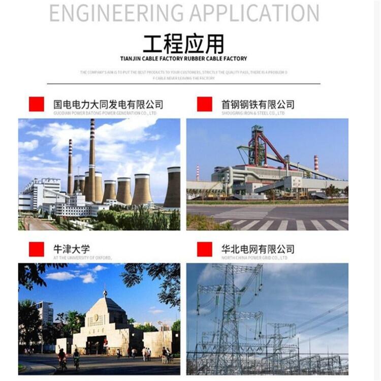 WDZC-DJYPYP環(huán)保電子計(jì)算機(jī)電纜