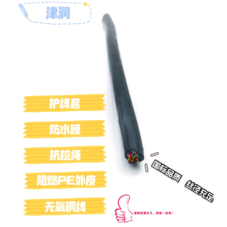 屏蔽電纜NH-DJYVP22阻燃計(jì)算機(jī)電纜 耐溫線DJFFRP