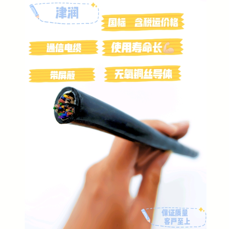 天聯(lián)津潤DJYPV22信號電纜DJYVRP2計(jì)算機(jī)電纜儀表