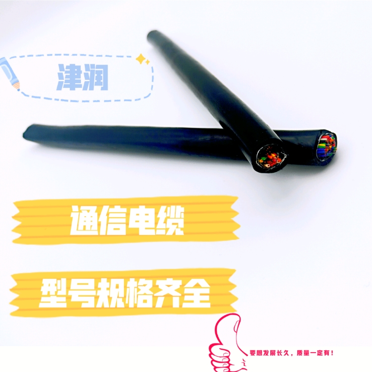 鎧裝屏蔽控制電纜ZR-KVVP2/22阻燃護(hù)套電纜KYJVRP