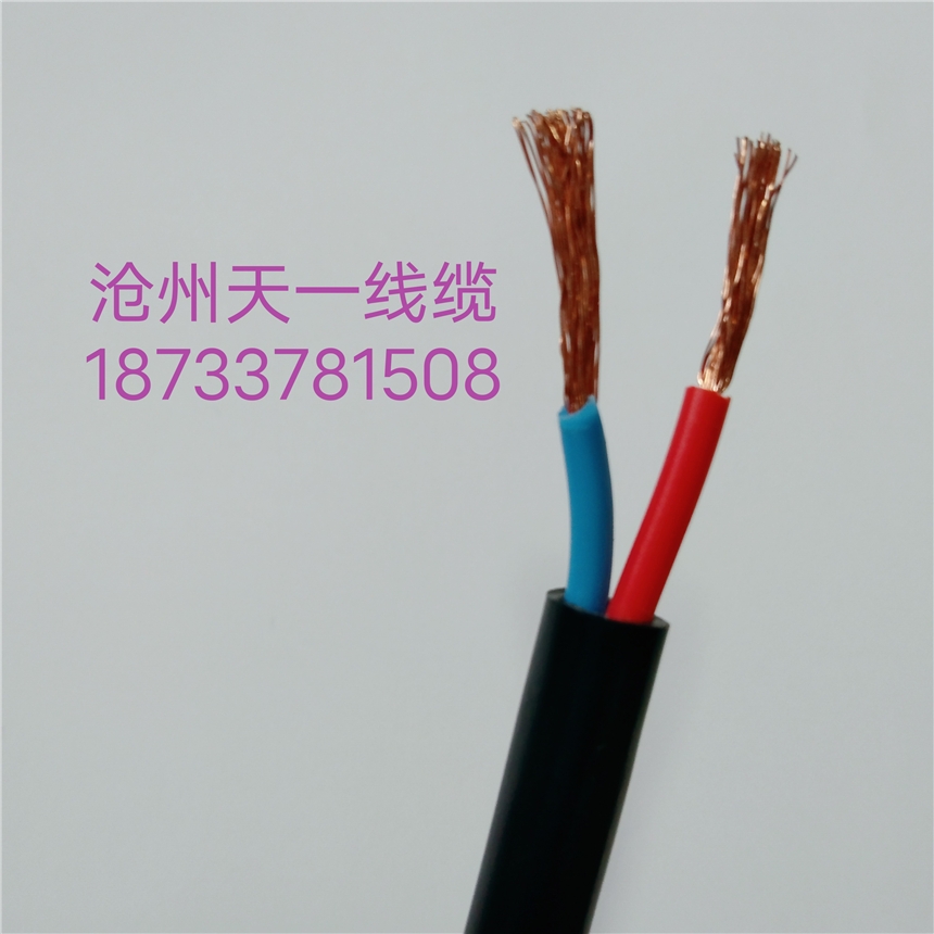 煤礦用控制電纜  MKVVRP 12*1