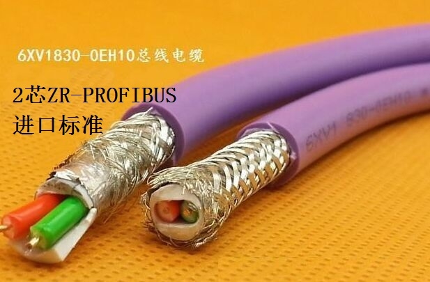 PROFIBUS-DP通訊總線