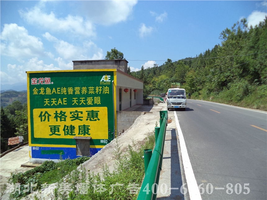 河池鳳山立馬墻體廣告廣西鳳山噴繪廣告發(fā)布方案