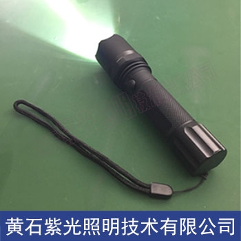 紫光YJ1013微型強(qiáng)光巡檢電筒廠家 YJ1013手電筒