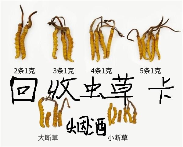 邢臺信都區(qū)可以回收冬蟲夏草的地方 上門 鑒定 收購蟲草