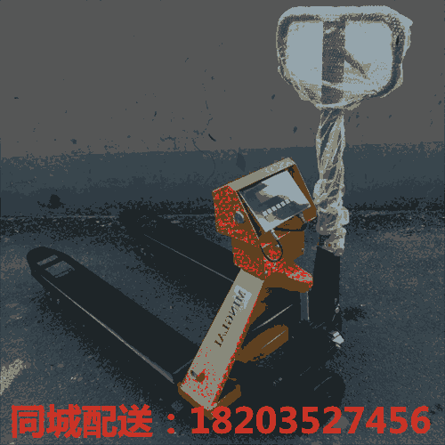 送貨#海南三亞 裝卸用電動0.5噸叉車續(xù)航長新能源電叉車 廣東佛山