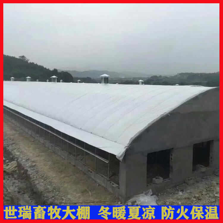 養(yǎng)雞大棚建設(shè)規(guī)劃 肉雞保溫大棚安裝 雞棚施工廠家