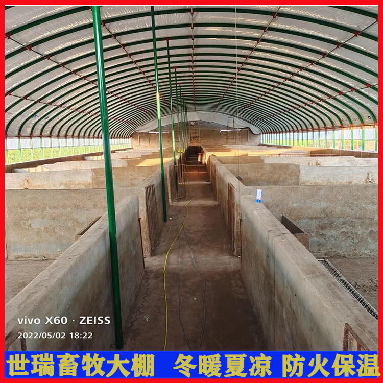 養(yǎng)豬大棚施工建造 豬舍大棚搭建 育肥豬養(yǎng)殖棚安裝