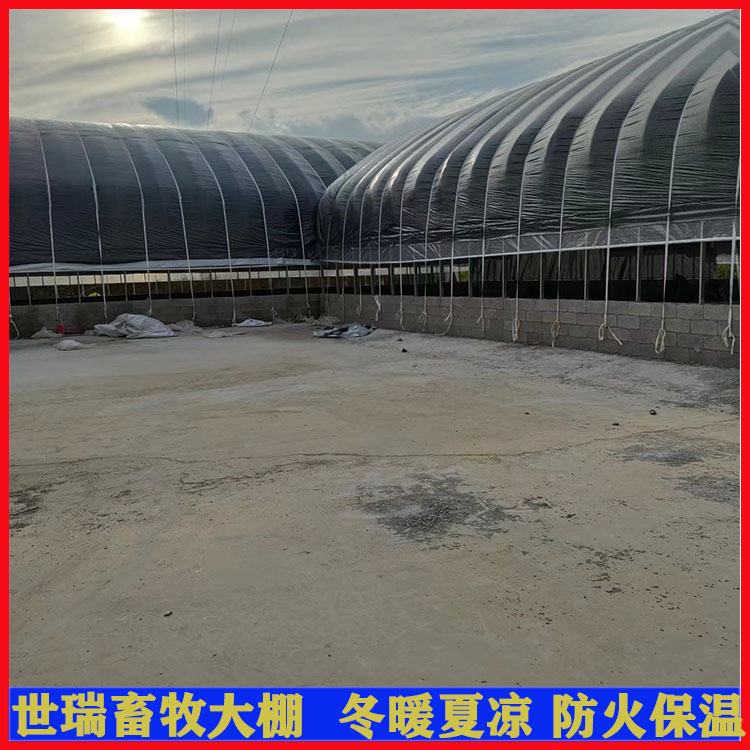 養(yǎng)豬大棚建設價格 豬舍大棚施工 保溫養(yǎng)豬棚搭建廠家