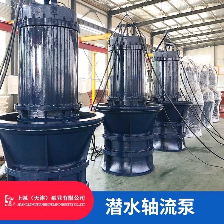 潛水軸流泵電機技術 潛水軸流泵的可行性報告