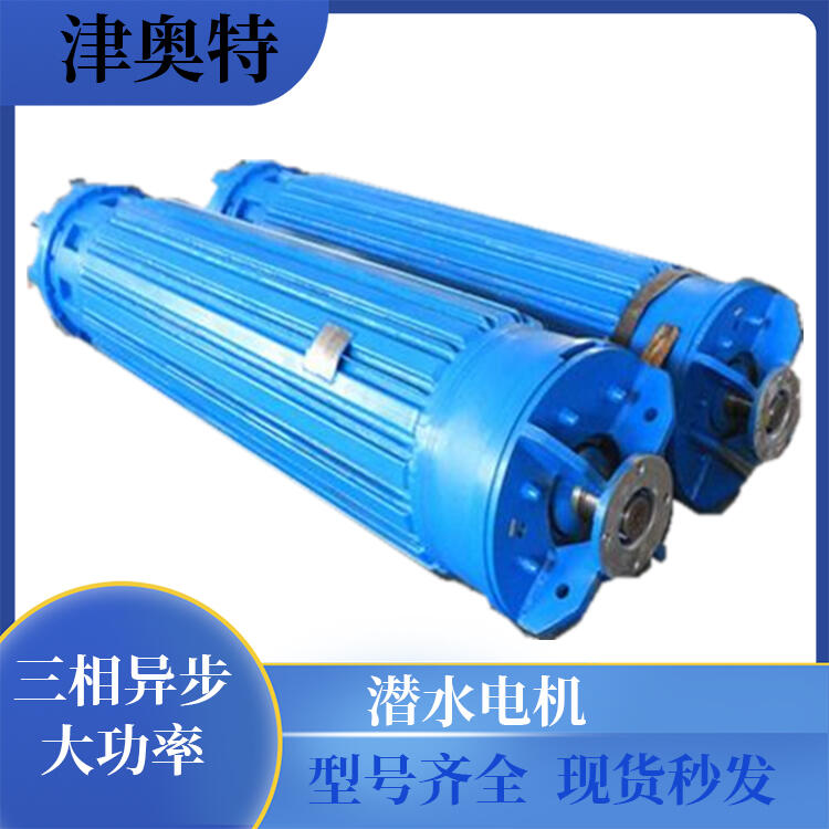 立臥兩用 1500v 1250千瓦潛水電機(jī) 奧特泵業(yè) 選型定制