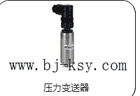 德國SPM	 TRV-20	進(jìn)口探頭