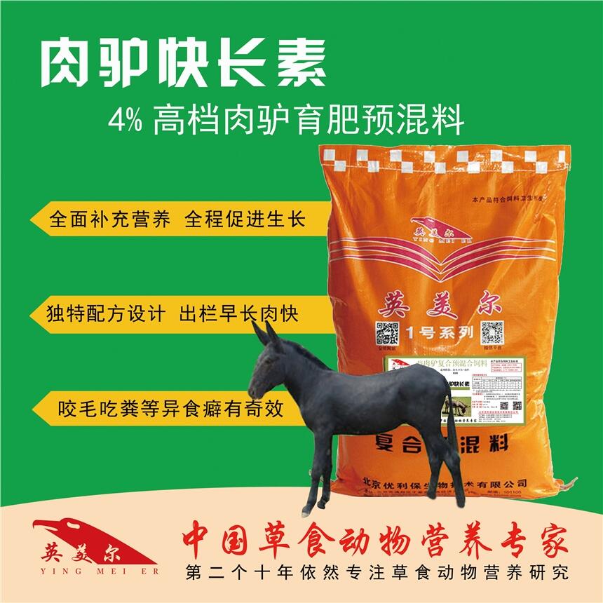 肉驢育肥期該如何飼喂