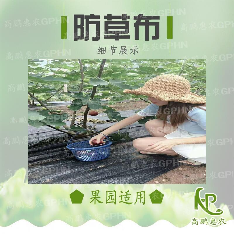 蔬菜園藝地布使用效果好