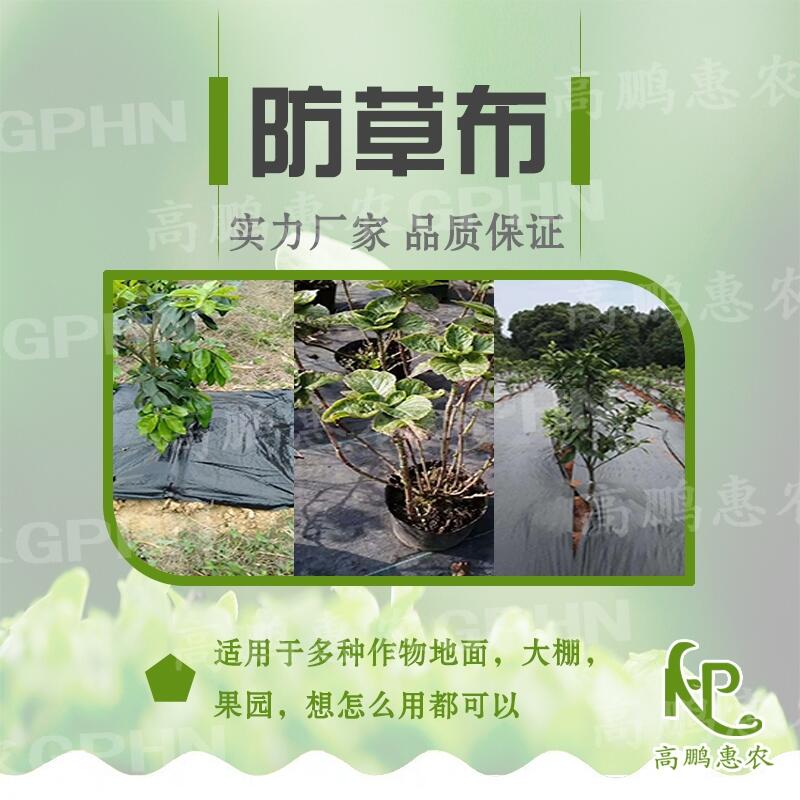 櫻桃園除草地布聯(lián)系電話