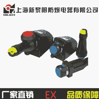 ZXF8575防爆防腐插接裝置 16A 新黎明國(guó)標(biāo)正品 廠家直銷