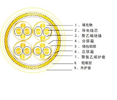 計(jì)算機(jī)屏蔽電纜-DJYPVP，DJYPV計(jì)算機(jī)屏蔽電纜-DJYPVP計(jì)算機(jī)屏蔽電纜-DJY