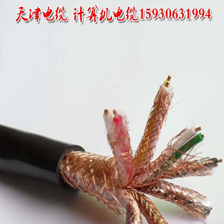 廠家直銷計(jì)算機(jī)電纜19×2×16/0.2 ZR-DJYPVR阻燃對屏蔽計(jì)算機(jī)電纜