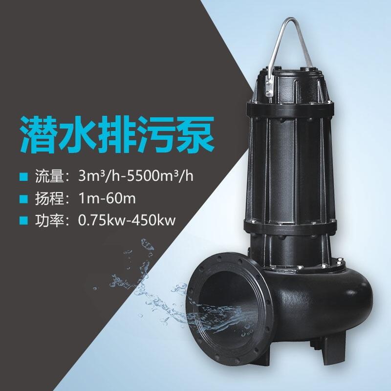 大型潛水排污泵 天津污水泵廠家_德能潛污泵型號(hào)