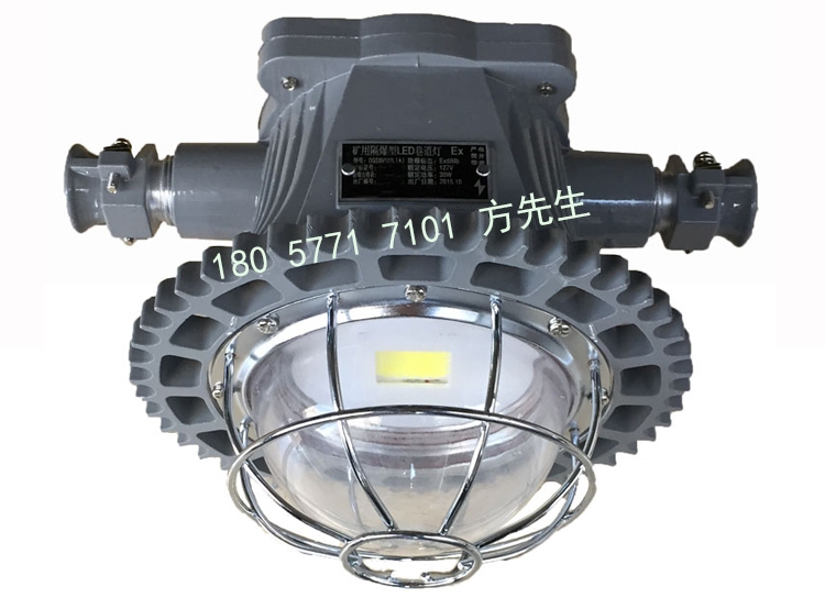 DGS28/127L(D) 礦用隔爆型LED巷道燈