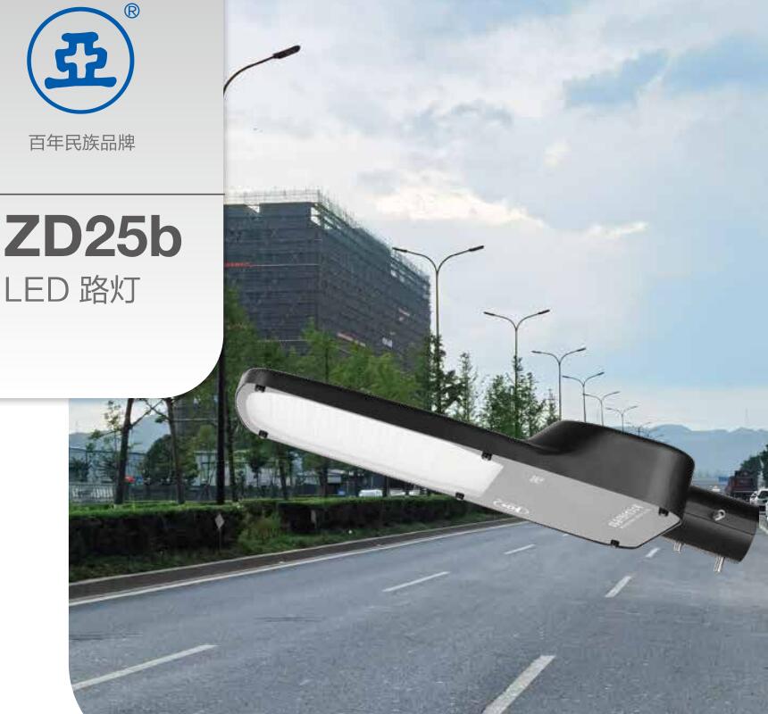 上海亞明LED路燈  亞牌ZD25b 50W 100W 150W 城市LED道路照明燈具