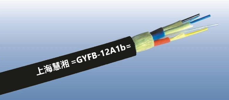 12芯多模拖拽光纜GYFB-12A1b拖曳光纜拖令光纜柔性光纜