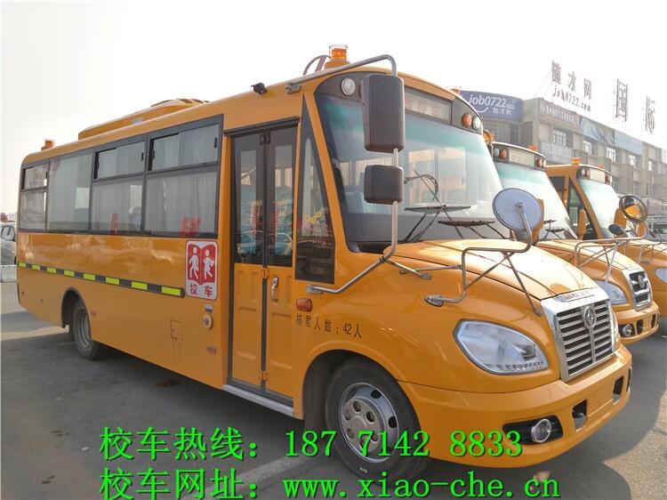 42座一汽華新牌校車價(jià)格