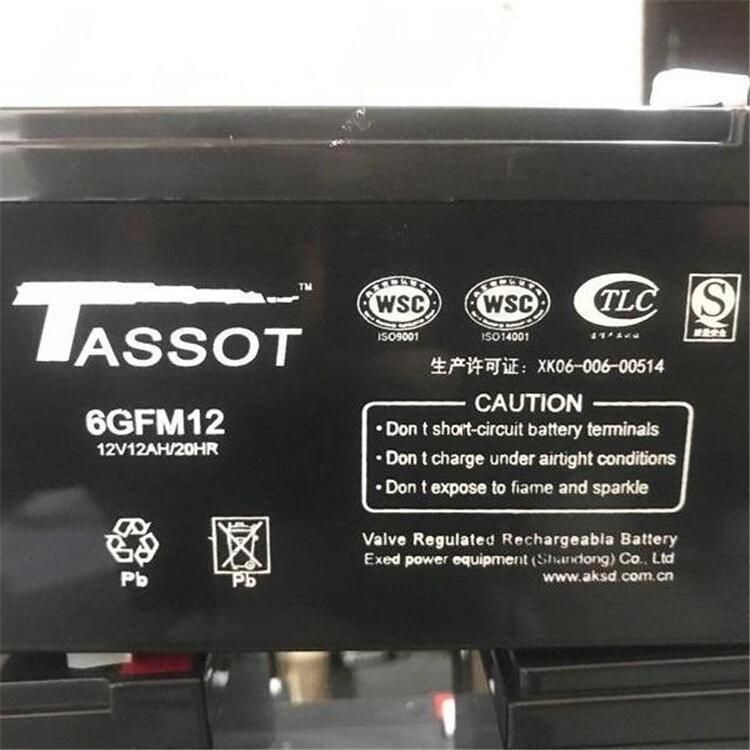 TASSOT泰斯特鉛酸ups蓄電池12V7AH20HR現(xiàn)貨