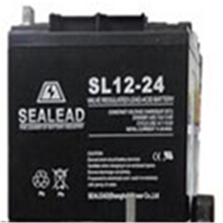 12V24AH高性能密封蓄電池SEALEAD西力達(dá)SL12-24