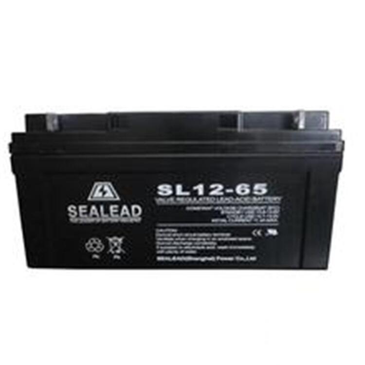 12V65AH電力直流屏蓄電池SEALEAD西力達(dá)SL12-65現(xiàn)貨