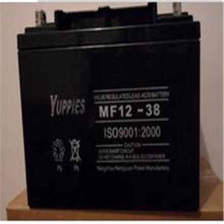 YUPPIES優(yōu)佩斯12V38AHups電源配套蓄電池型號6GFM40 MF12-40