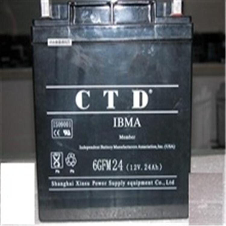 CTD6GFM24閥控式鉛酸蓄電池12V24AH