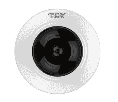 DS-2CD3955FWD-IWS,全景特寫攝像機(jī)