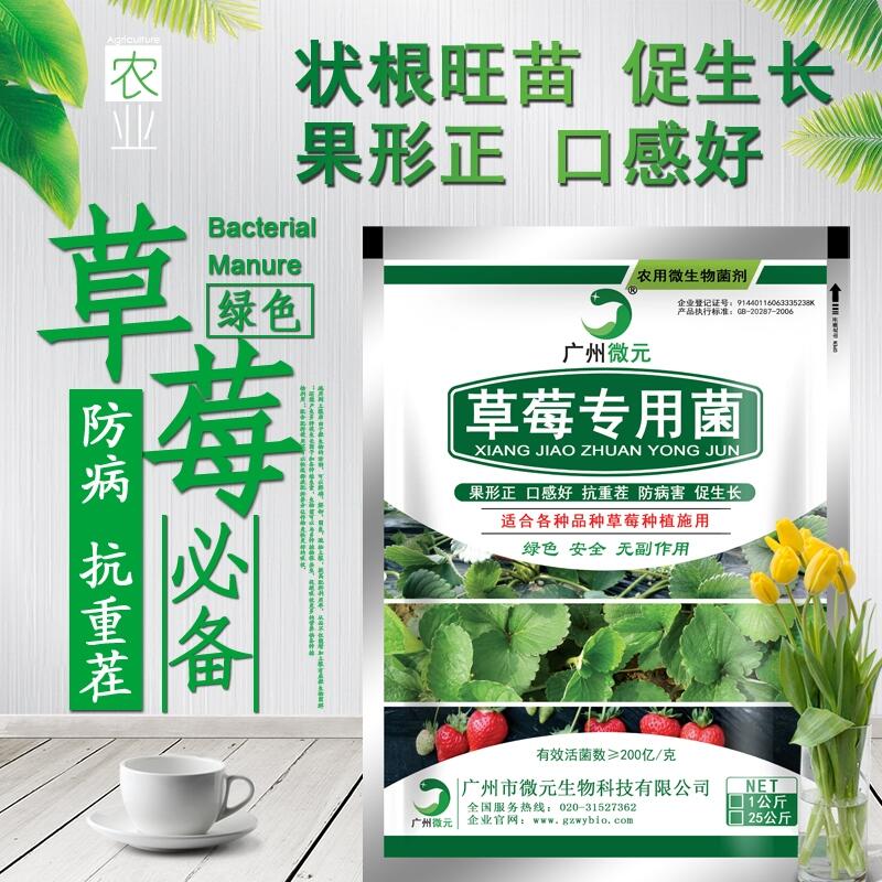 草莓專用微生物菌劑草莓專用復(fù)合微生物菌肥復(fù)合功能菌