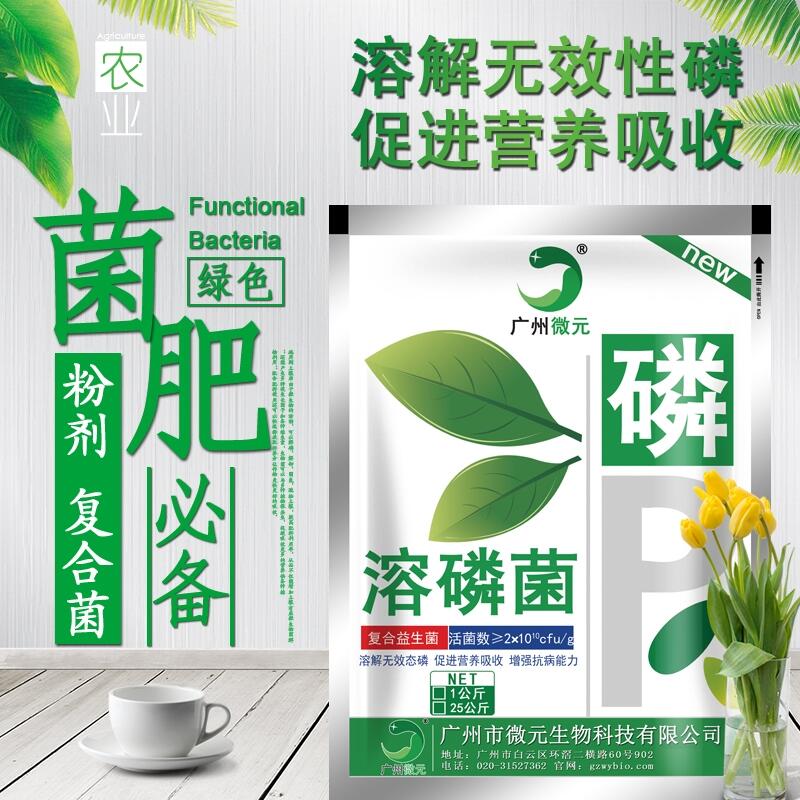 溶磷菌復(fù)合溶磷菌農(nóng)用復(fù)合芽孢桿菌生物有機(jī)肥功能菌種