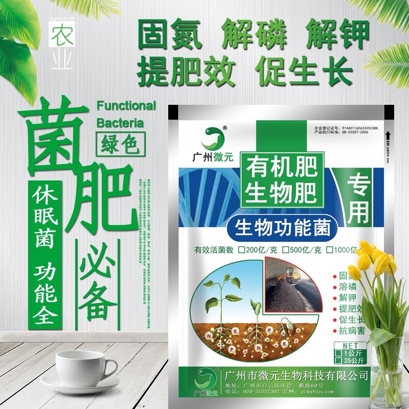 農(nóng)用復(fù)合芽孢桿菌微生物菌肥功能菌微生物復(fù)合功能菌種