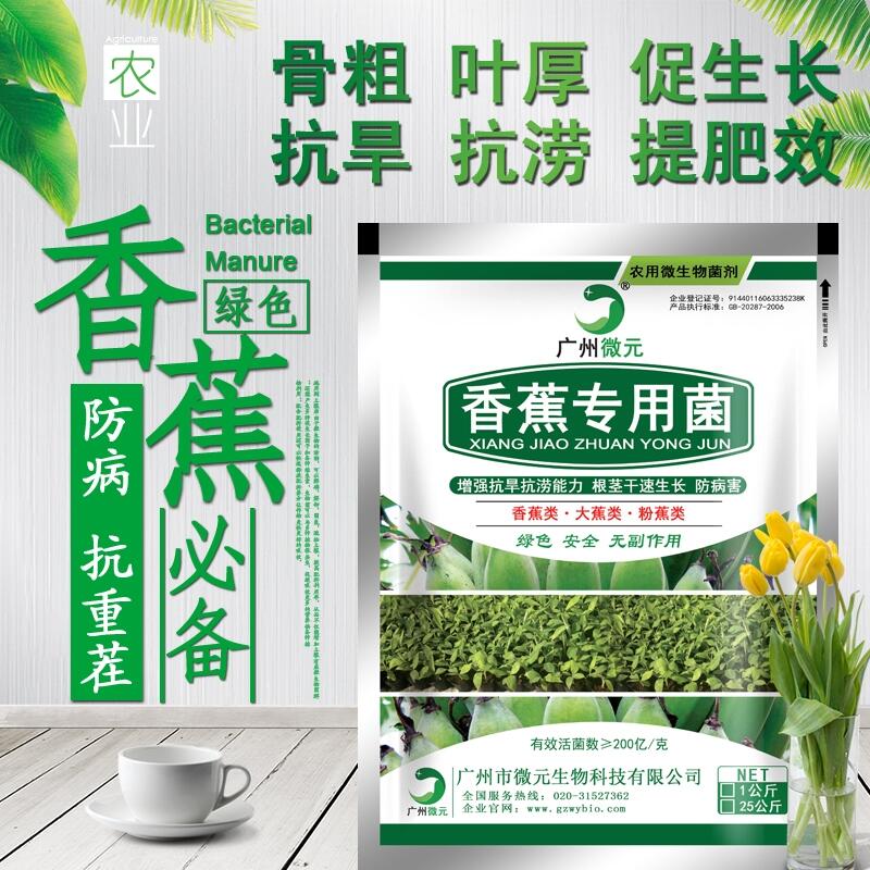 香蕉專用微生物菌劑香蕉專用復(fù)合微生物菌肥復(fù)合功能菌