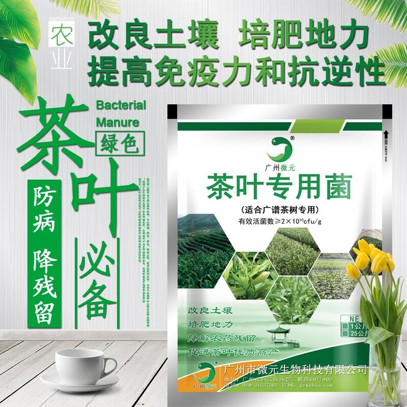 茶葉專用微生物菌劑農(nóng)用復合芽孢桿菌微生物復合功能菌