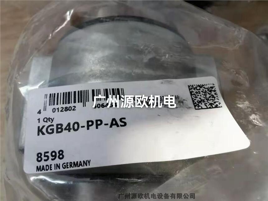 KGB12-PP-AS 廣州源歐機(jī)電 銷售原裝德國INA直線襯套