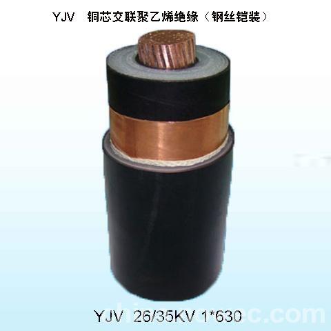 內(nèi)蒙古阻燃屏蔽電纜ZRC-DJPVRP欣華強(qiáng)電纜DJYPVP-1*2*1.5高溫計(jì)算機(jī)電纜